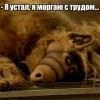 Я, устал...