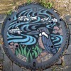 Ворон и рыбы в городе Идзуми-си в префектуре Осака
