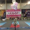 26 января 2019 года прошла выставка собак "АЛЬФА-2019", организатор - клуб АЛЬФА