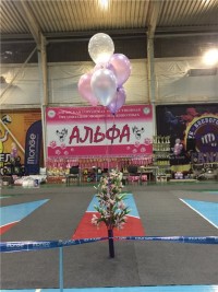 26 января 2019 года прошла выставка собак "АЛЬФА-2019", организатор - клуб АЛЬФА