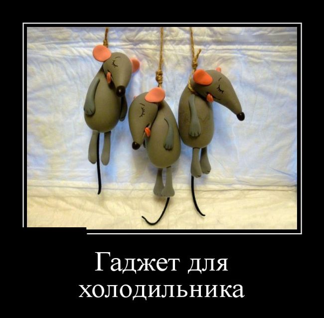 Гаджет для холодильника