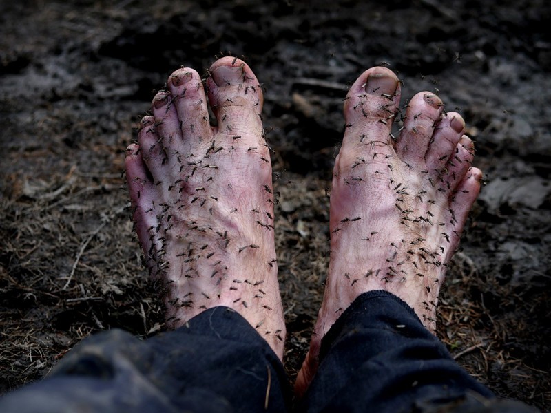 Ноги, не Саныча и не Сирёги