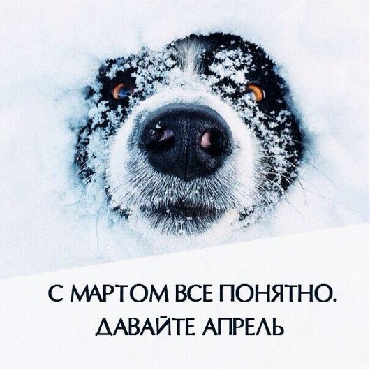 Давай апрель