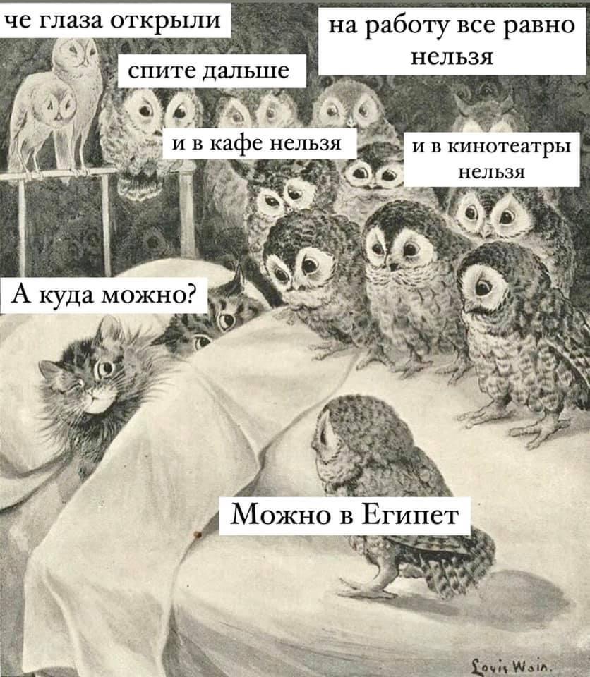 Локдаун. День первый
