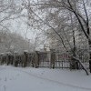 Прогулка по лесопарку "Родник"