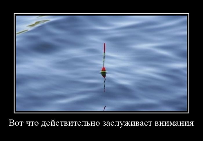 Заслуженное внимание
