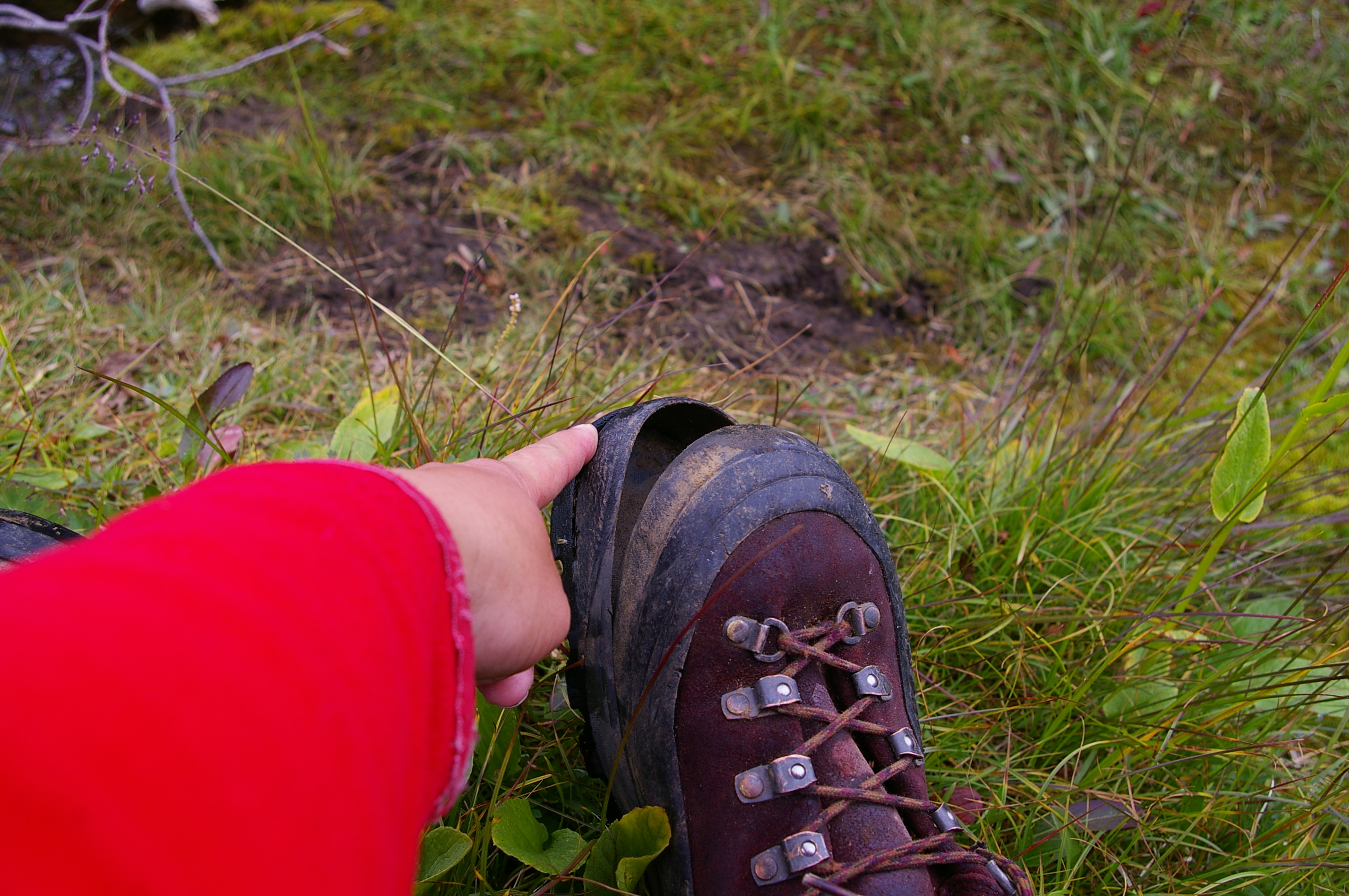 дороги хватит на всех