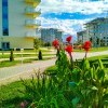 Сочи парк отель Сочи парк отель