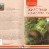 Животный мир Ангарского района 00