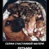 Селфи