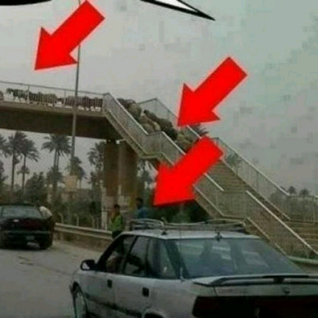 Пешеходный переход