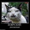 )))