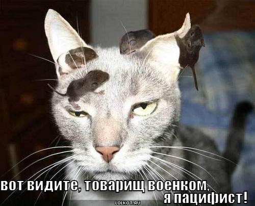....