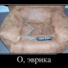 Эврика Эврика