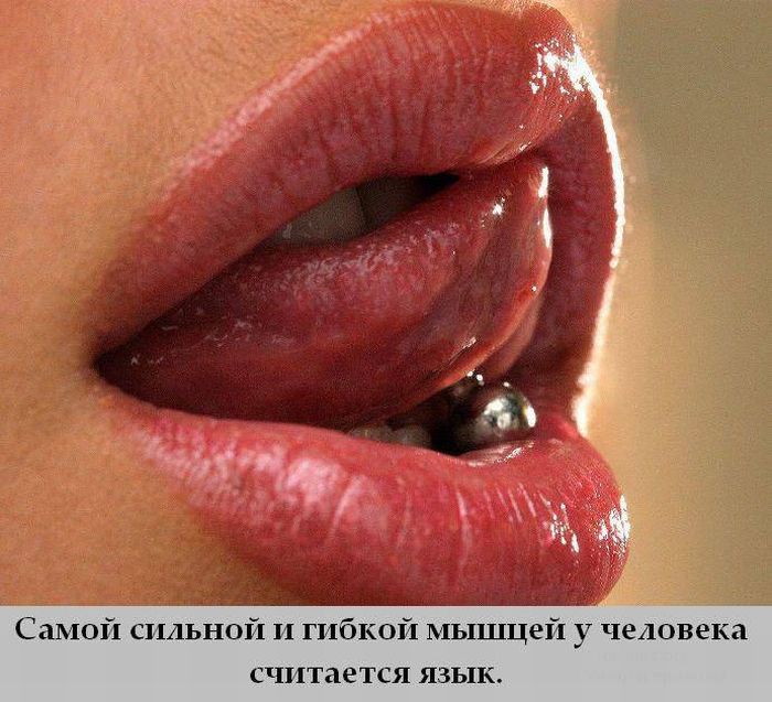 Сильная мышца