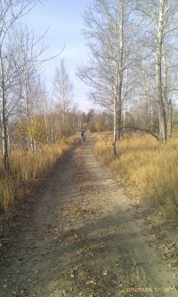 Дарога)))))))