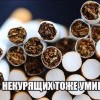 Табакокурение Табакокурение