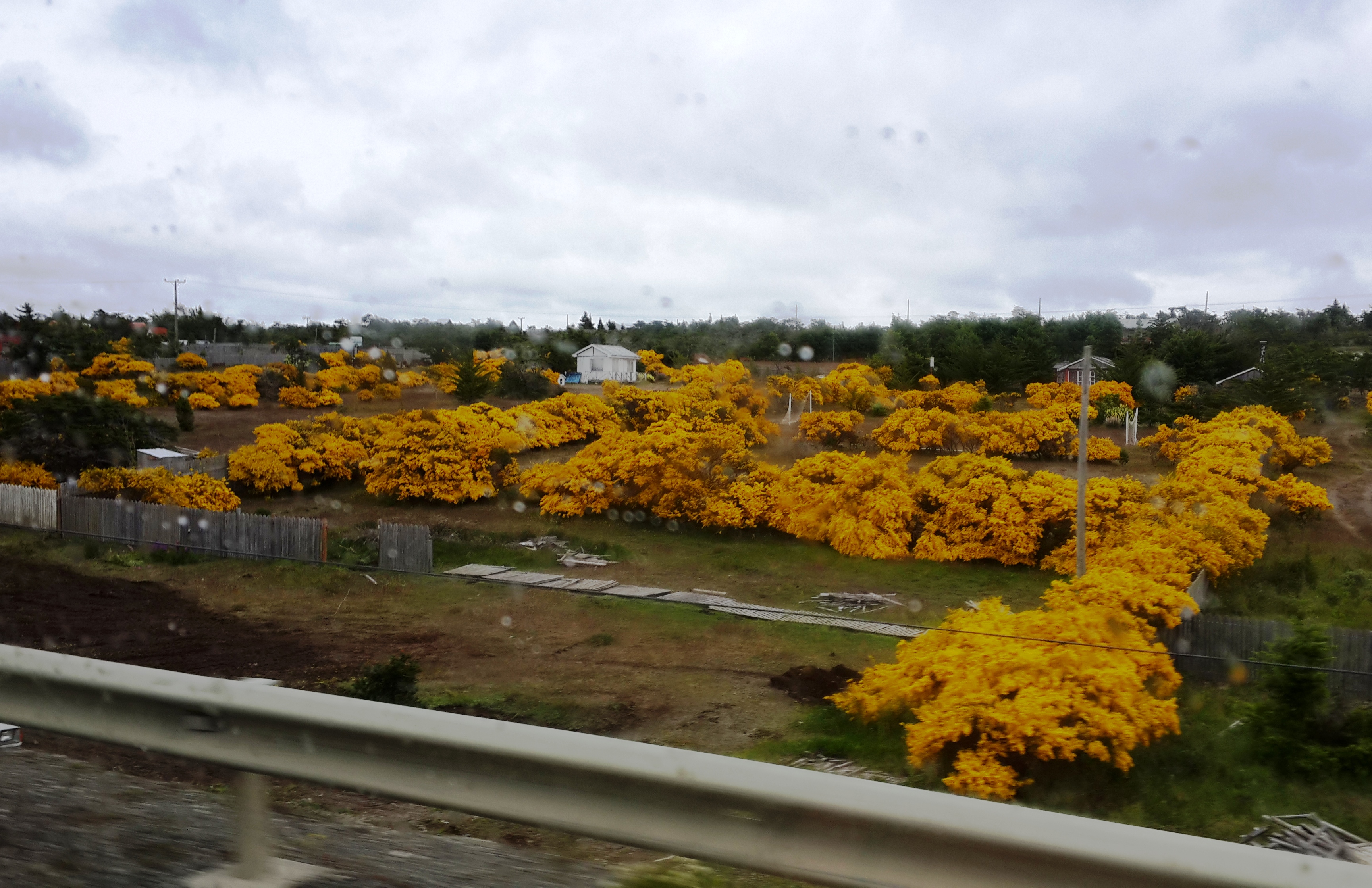 Патагонское солнце