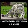 Не поймешь