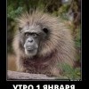 Утро 1 января