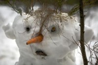 Снеговик,который увидел снеговиковых приведений