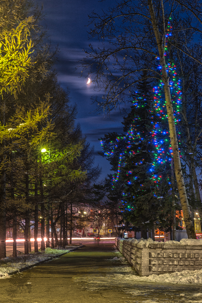 Улица Алешина