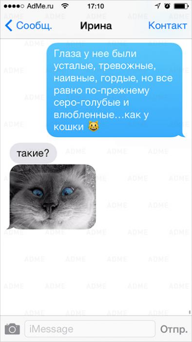 Эти глаза напротив.