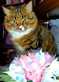 и за што ето ей?)))))