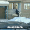 дождалась...