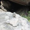 IMG 0777