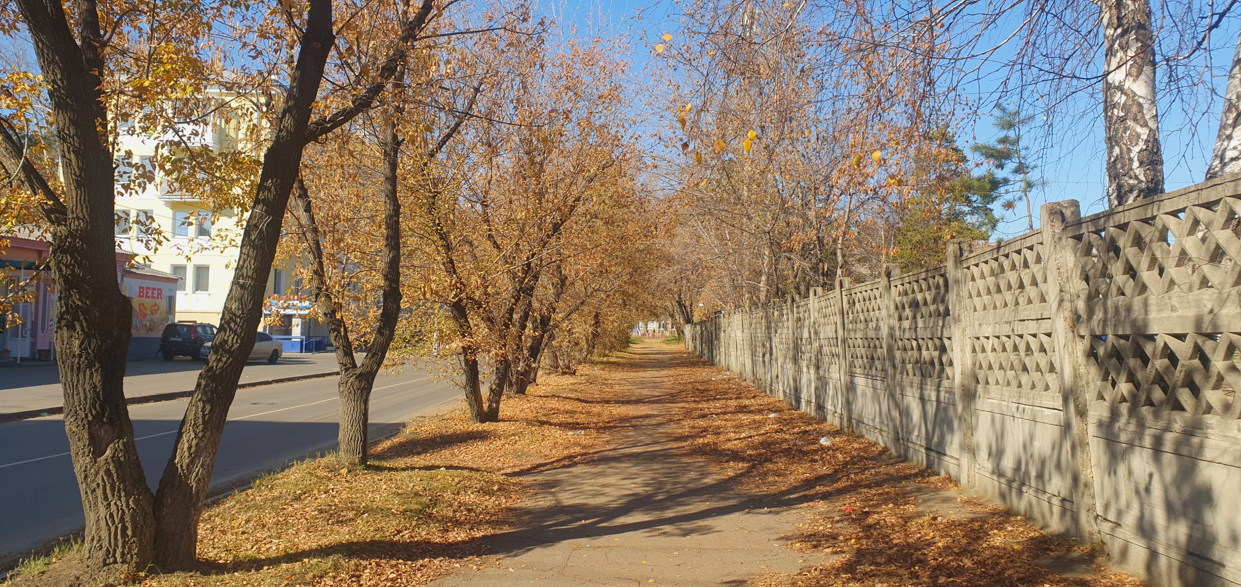 Рыночная осень 2019