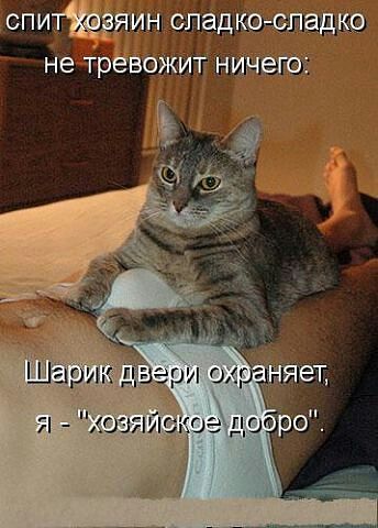 GetImage