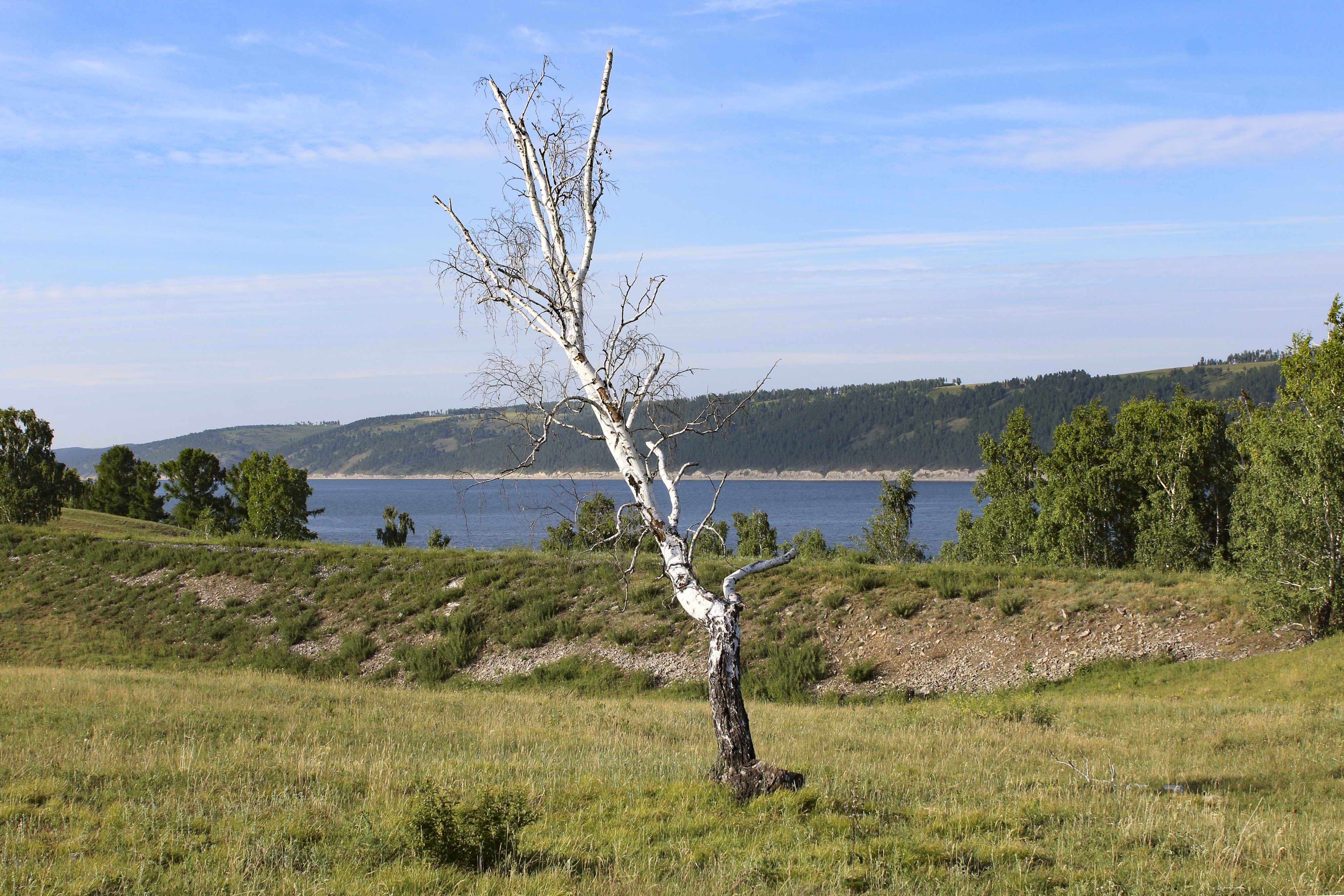 Черемховский район