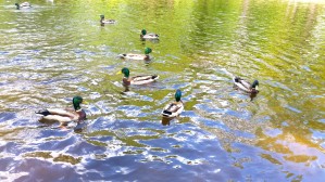 Моё, Санкт-Петербург, город, хорошо