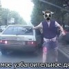 где майо узбагоитильное?))))))