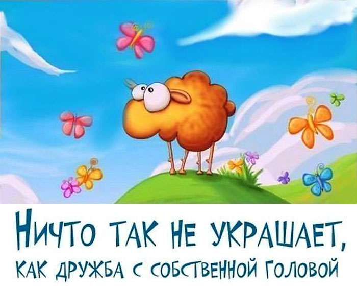Дружба с головой