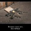 Вторых здесь нет Вторых здесь нет