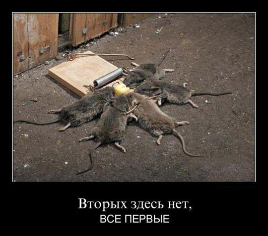 Вторых здесь нет