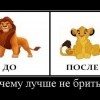 Почему лучше не бриться