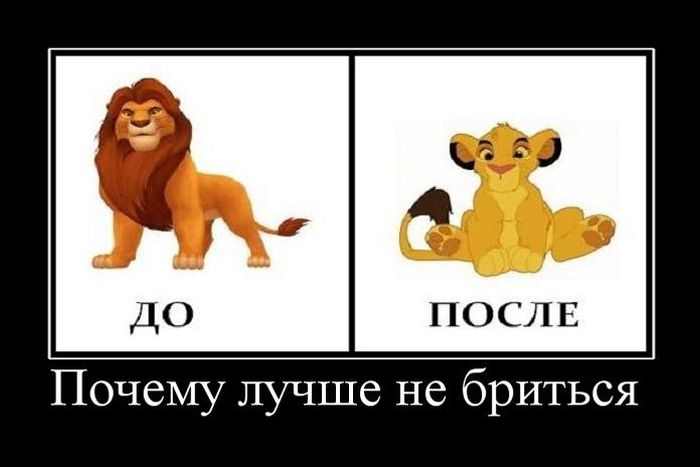 Почему лучше не бриться