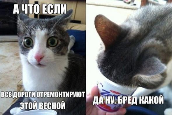 76d4980fb1b0cb2d26ef94ad71f prev