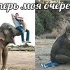 Теперь моя очередь