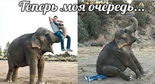 Теперь моя очередь