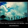 Пока мы жаловались Пока мы жаловались