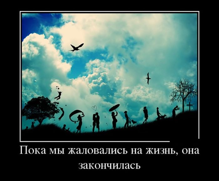 Пока мы жаловались