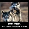 Встреча с друзьями Встреча с друзьями