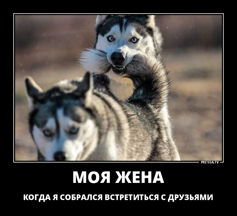 Встреча с друзьями