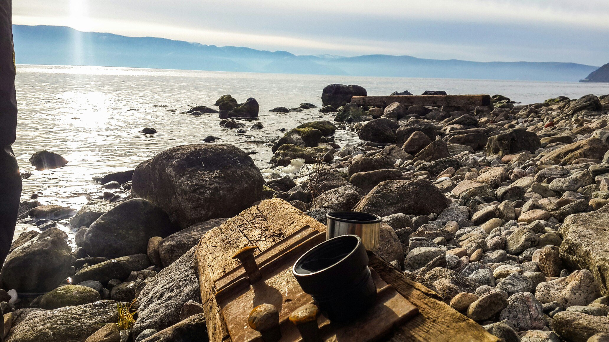 Пикниковое