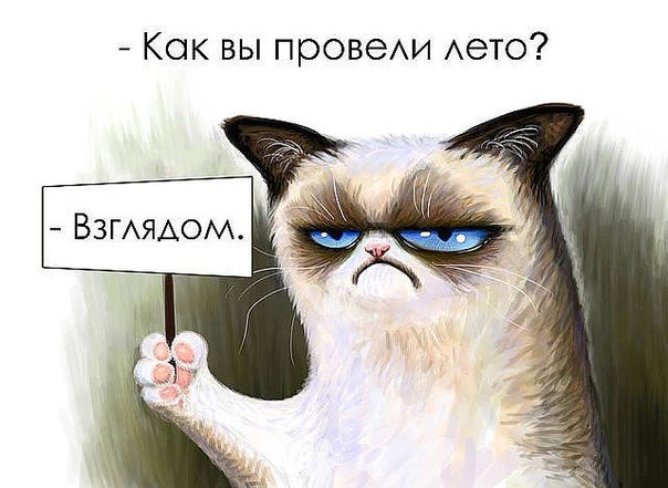 Как вы провели лето