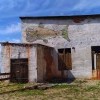 Ленин-рыба